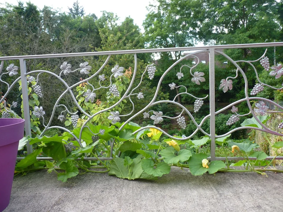 Garde-corps aux motifs de vigne